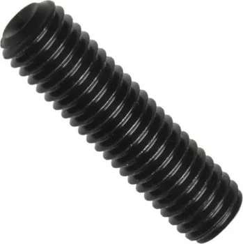 Šroub A4 d916 červík kuž.důl. m4x16