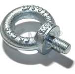 Šroub závěsný DIN 580 pozinkovaný MTR Varianta: Šroub závěsný DIN 580 M100 Zn