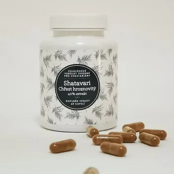 Ondřej Ullrich Shatavari - chřest hroznovitý 60 tbl.