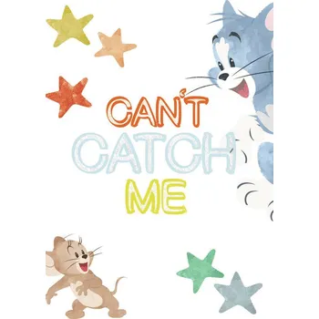 Plakát Plakát, Obraz - Tom a Jerry - Cant catch me