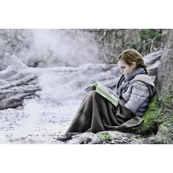 Plakát Plakát, Obraz - Deathly Hallows - Hermione