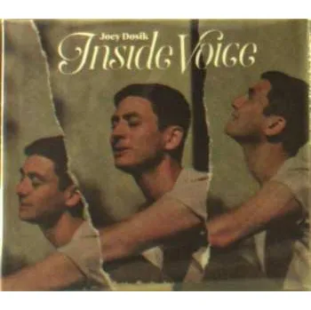 Zahraniční hudba CD Joey Dosik: Inside Voice 2018