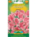 Nohel Garden Hrachor vonný pnoucí…