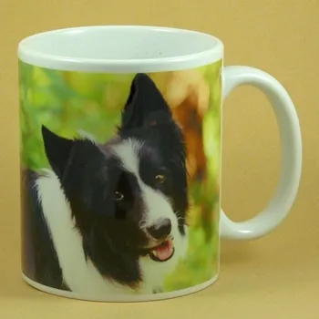 Hrnek Border Kolie