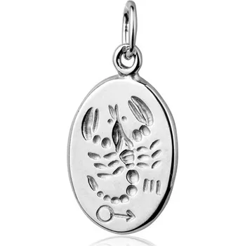 Přívěsek Šperky4U Stříbrný přívěsek znamení ŠTÍR - CS3002-11