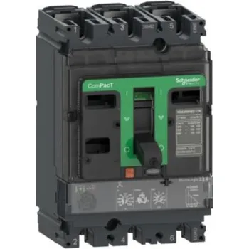 Jistič C10W32M025 NSX100HB2 100kA AC 3P 25A 2.2M,Schneider Electric