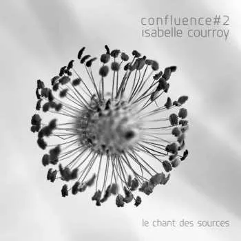 Zahraniční hudba CD Isabelle Courroy: Confluence #2 - Le Chant Des Sources 2022