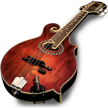 Snímač pro strunný nástroj L.R. Baggs RADIUS-M snímač pro mandolinu