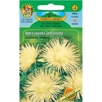 Pěstitelství Astra čínská vysoká jehlicovitá UNICUM, žlutá