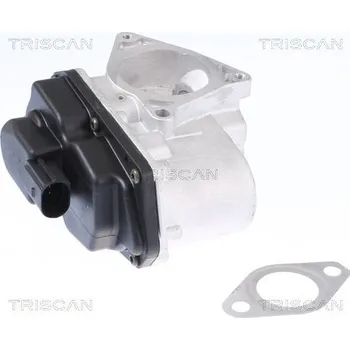 Ventil palivového systému AGR-Ventil TRISCAN 8813 29003