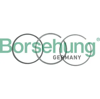 Píst motoru Sada pístních kroužků BORSEHUNG B19037