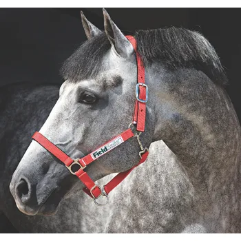 HORSEWARE Ohlávka bezpečnostní Horseware, red COB