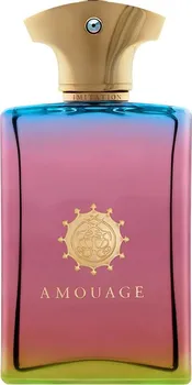 Pánský parfém Amouage Imitation Man EDP 100 ml