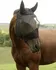 Koňská maska proti hmyzu Covalliero Maska proti hmyzu s ušima a třásněmi černá Full
