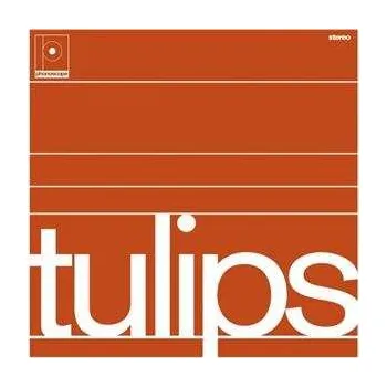 Zahraniční hudba LP Maston: Tulips LTD 2024 2020 Reissue Limited Edition Vinyl
