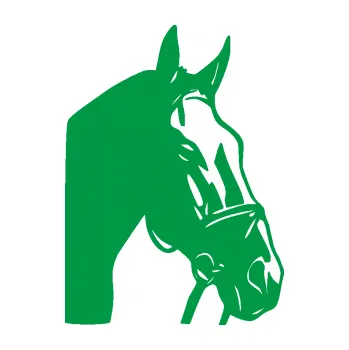 Samolepící dekorace Kůň 089 pravá (12 - zelená) SAMOLEPKA NA AUTO, NÁLEPKA, FÓLIE, POLEP, TUNING, VLASTNÍ TEXT, TISK, AUTOSAMOLEPKY.cz, POLEPY, OBRÁZEK, LOGO, 3D STICKERS