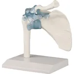 Erler-Zimmer 4550 ramenní kloub s vazy