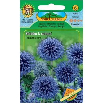 Semeno Nohel Garden Bělotrn k sušení 10 ks