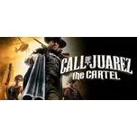 Call of Juarez: The Cartel (PC) (Steam)