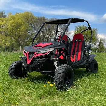 Sunway Super Buggy 209ccm 2022