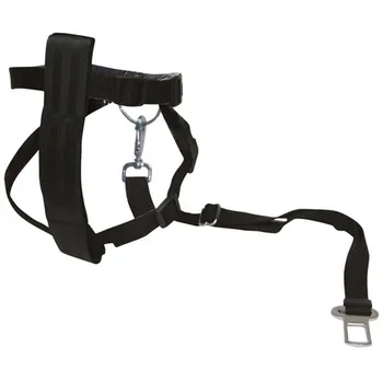 Postroj pro psa Carpoint Bezpečnostní pás pro psy černý 35-62 cm