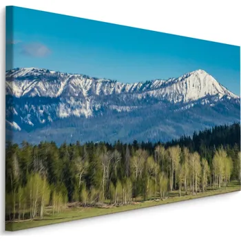 Plátno Národní Park Grand Teton V Usa Varianta: 40x30