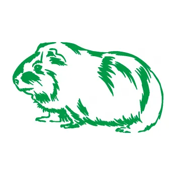 Samolepící dekorace Morče 002 levá (12 - zelená) SAMOLEPKA NA AUTO, NÁLEPKA, FÓLIE, POLEP, TUNING, VLASTNÍ TEXT, TISK, AUTOSAMOLEPKY.cz, POLEPY, OBRÁZEK, LOGO, 3D STICKERS