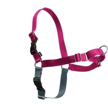 Obojek pro psa PetSafe Postroj EasyWalk , malinový S