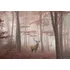 Fototapeta Malvis Jelen v podzimním lese 216 x 140 cm