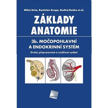Základy anatomie 3b.: Močopohlavní a endokrinní systém Kniha