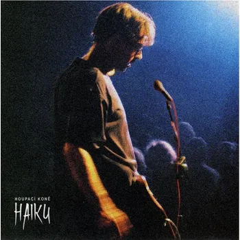 Zahraniční hudba Houpací koně: Haiku - CD