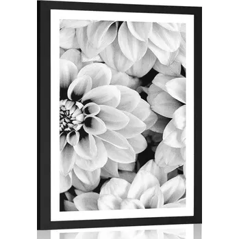 Plakát Dovido Plakát s paspartou květiny dálí v černobílém provedení