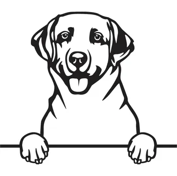 Vsepropejska Labrador dřevěná dekorace na zeď Rozměr (cm): 35 x 40