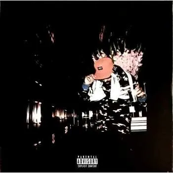 Zahraniční hudba LP SonnyJim: No Vi$ible Means Of Income 2 LTD | NUM | PIC 2022 Numbered Picture Disc Limited Edition Vinyl