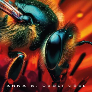 Údolí včel - Anna K.