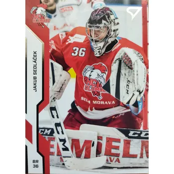 Sběratelská karetní hra Jakub Sedláček