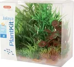 Zolux Jalaya 2 sada akvarijních rostlin