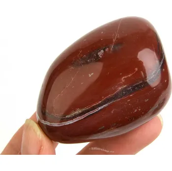 Přírodní kámen Kámen zkamenělé dřevo 163g