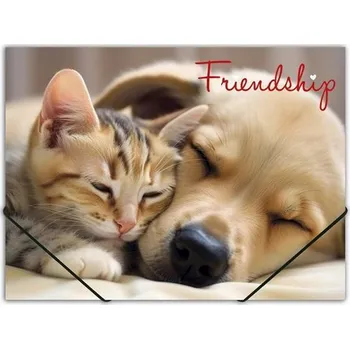 Archivační box Desky s gumičkou "Friendship", A4, 15 mm, PP, PANTA PLAST