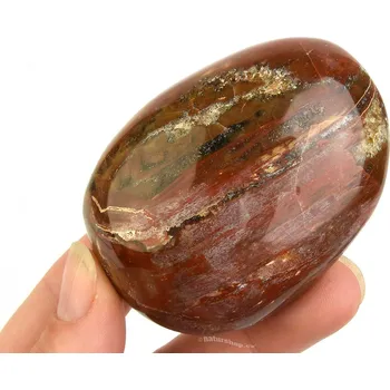 Přírodní kámen Kámen zkamenělé dřevo 133g