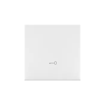 vypínač SIMON TKWK1/111 Kryt s piktogramem "klíč", 1 násobný, pro přístroje spínačů a tlačítek bílá