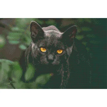 Diamantové malování Diamantové malování - Černá kočka Velikost: 40x60cm, Rámování: Pouze srolované plátno, Diamanty: Čtvercové