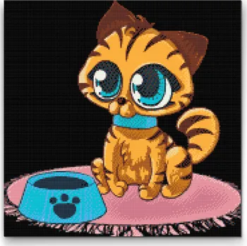 Diamantové malování Diamantové malování - Kotě s velkýma očima Velikost: 50x50cm, Rámování: Pouze srolované plátno, Diamanty: Čtvercové