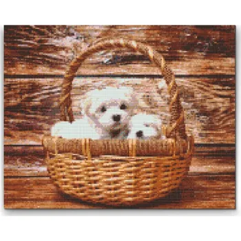 Diamantové malování Diamantové malování - Štěňata v košíku Velikost: 30x40cm, Rámování: Pouze srolované plátno, Diamanty: Kulaté
