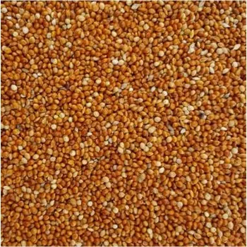 Krmivo pro ptáka animALL Proso červené 3 kg