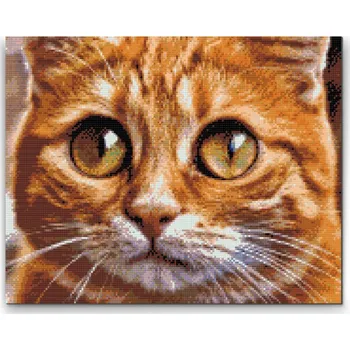 Diamantové malování Diamantové malování - Kočičí oči 2 Velikost: 30x40cm, Rámování: Pouze srolované plátno, Diamanty: Čtvercové