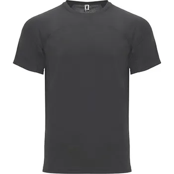 Pánské oblečení Roly Monaco Pánské funkční tričko CA6401 Dark Lead 46 XL