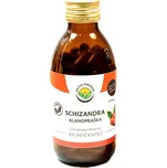 Schizandra bylinné kapsle 120ks (Salvia Paradise)