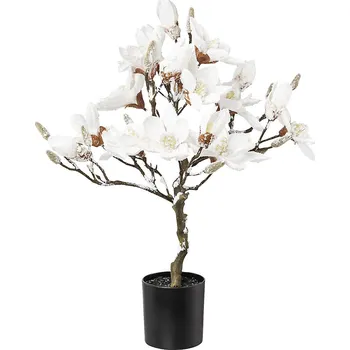 Vánoční stromek Stromek magnolie, zasněžený, bílá, 580 mm
