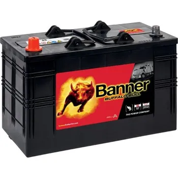 BATERIE BANNER BUFFALO BULL 610 48, 110Ah, 12V